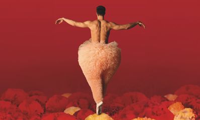 Chicos Mambo Tutu 1600