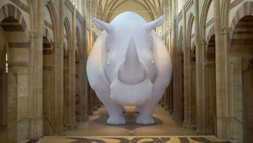 Rhinoceros 1600