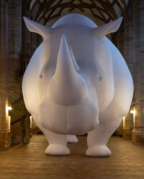 Rhinoceros Header 1600