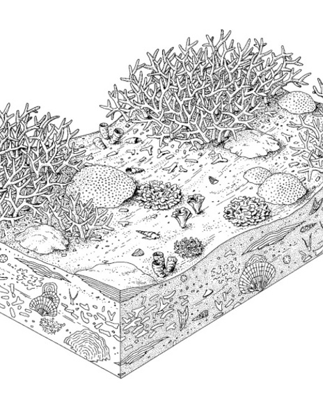 09 Illustratie Gruislaag 1600X550