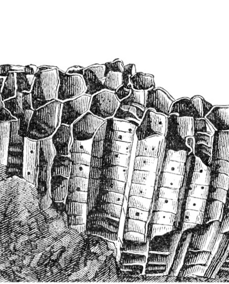 07 Illustratie Favosites 1600X550